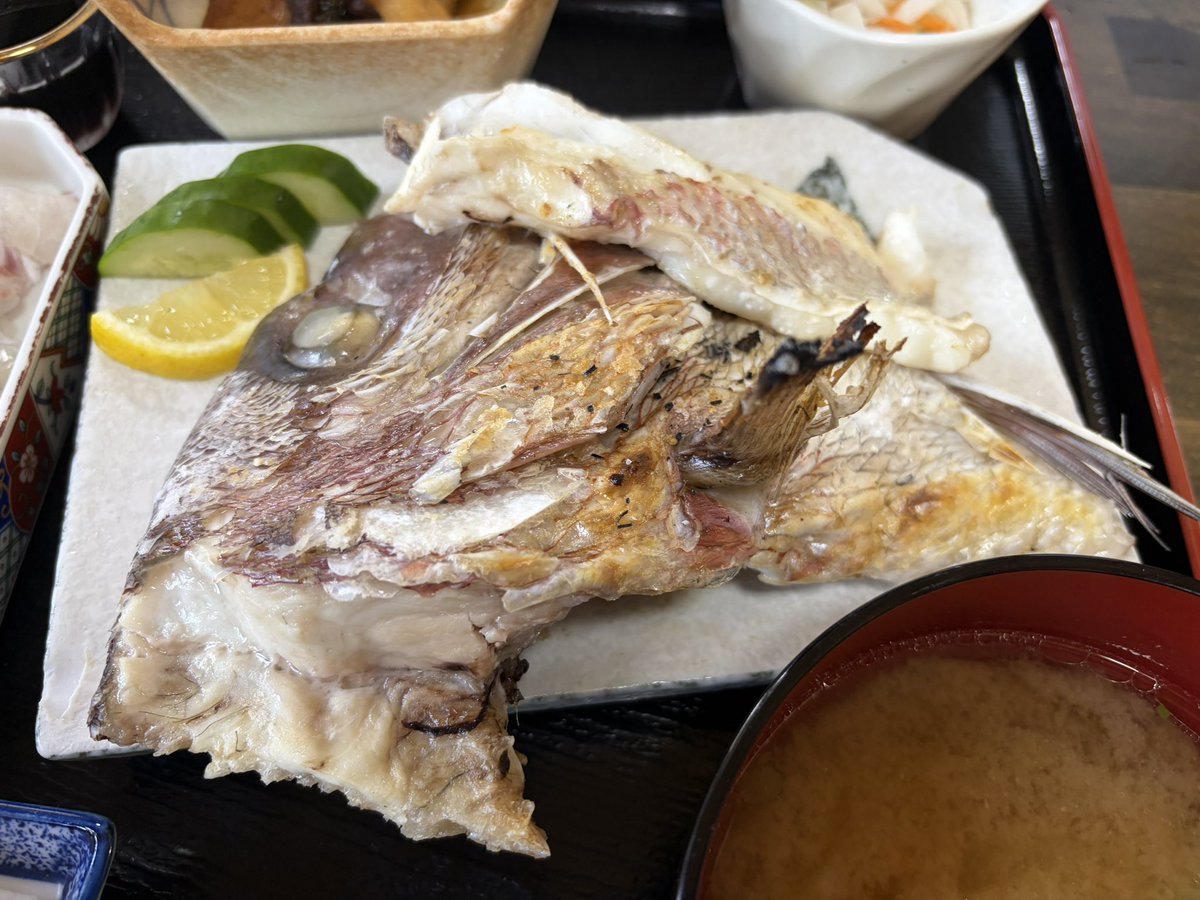 Rentan_B9's tweet photo. 🐟 https://t.co/zjBkTJ95Vn
