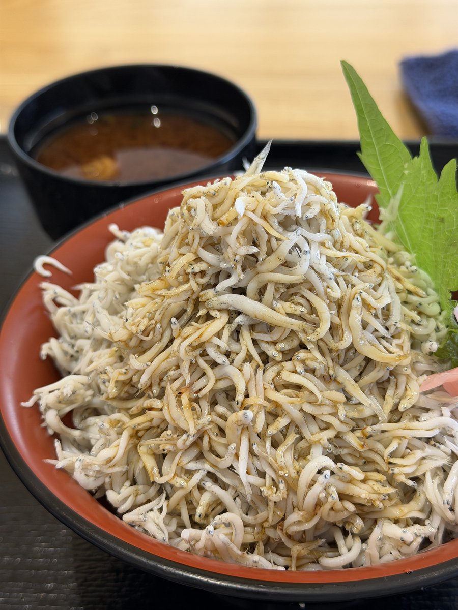 iisan385's tweet photo. しらす丼🙏 https://t.co/VqYSdBECcq