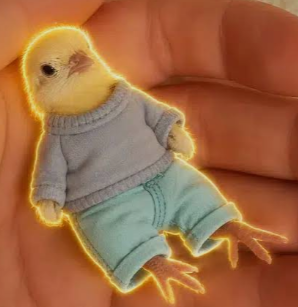 vanni100x's tweet photo. @Daezerr its a quail lmao 

CA

BzvYxTgPUjfCwR7C4EwMDDLtswQqLWKi9iefFuB4pump https://t.co/rqaHc07BZu