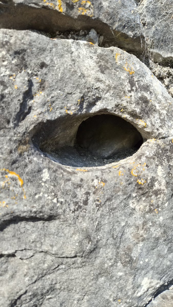 mylastsatoshi's tweet photo. This one in Jamestown where a doorway was replaced.

#Eye #EyeOfHorus
#EgyptianMythology
#AncientEgypt
#Wadjet
#EgyptianHistory
#ProtectionSymbol
#HorusEye 
#Jamestown
#Leitrim https://t.co/HV3QNhhl7l