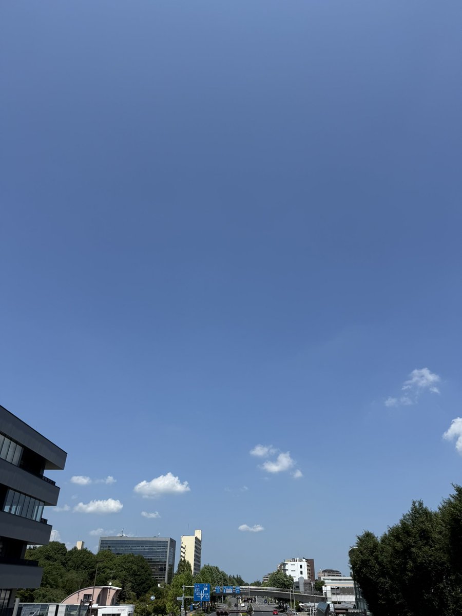 shuhei601's tweet photo. 2026年7月20日 海の日

梅雨明けした、つくば市の青い空☀️

#梅雨明け https://t.co/g2OI9vSw94