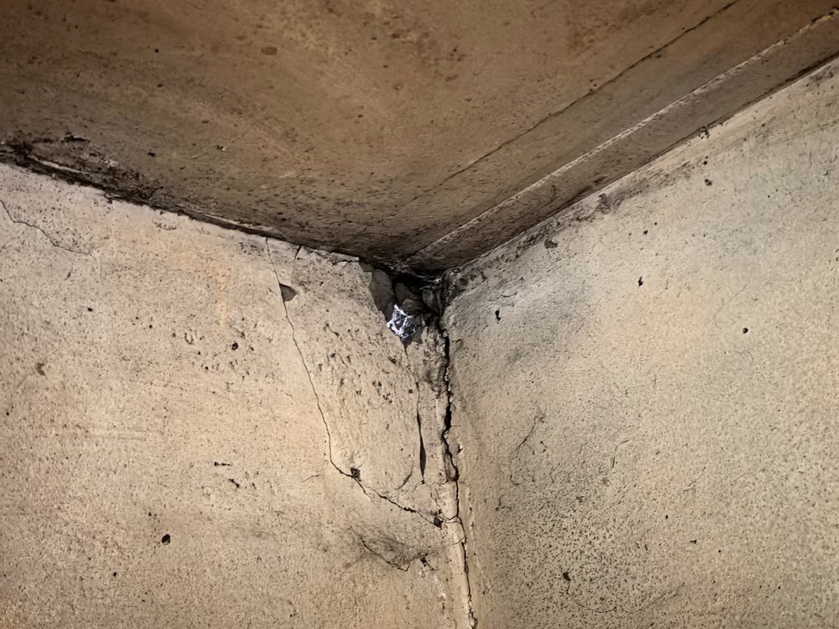 brettherron's tweet photo. Hill-Lewis doesn’t need to travel to Joburg to see black mold, failing infrastructure, dilapidated apartment blocks.
His @Our_DA government owns and mismanages 65000 apartments across Cape Town.
He should visit &amp; take care of his own backyard &amp; the people who live there! https://t.co/rDQ3l1rUi8