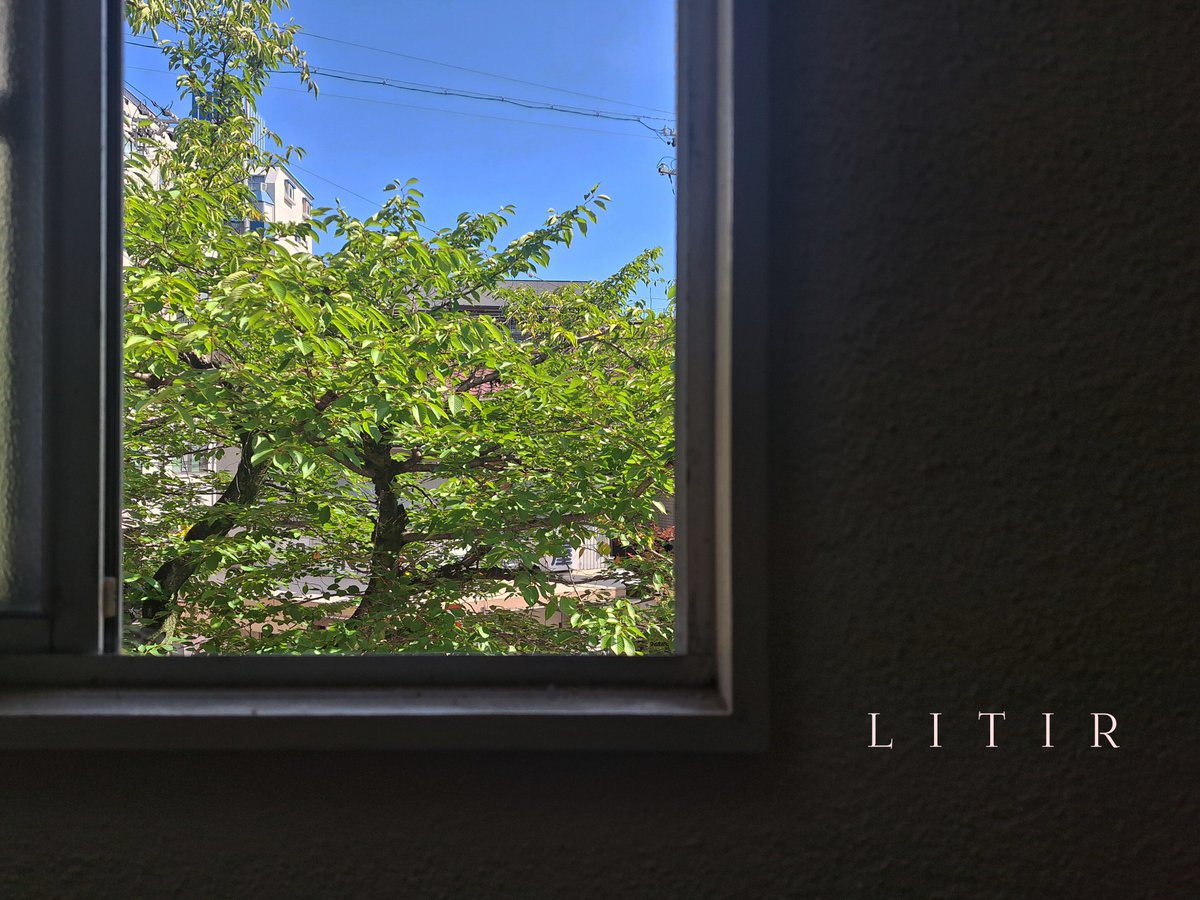 litir_books's tweet photo. 名古屋はもはや国内屈指の熱帯。今週は予想最高気温41度の日もあるようで。

「読書の秋」という言葉がありますが個人的に「読書の夏」を提唱しています。一昔前なら夏といえば行楽のイメージですが、今や一歩外へ出れば身の危険を感じる殺人熱射。こういう時こそ、 https://t.co/iu5QuBJL38
