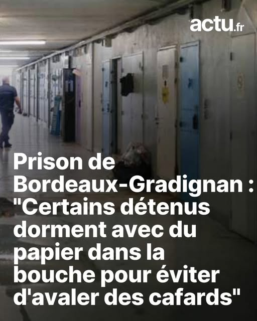 Jean Bemfair tweet media
