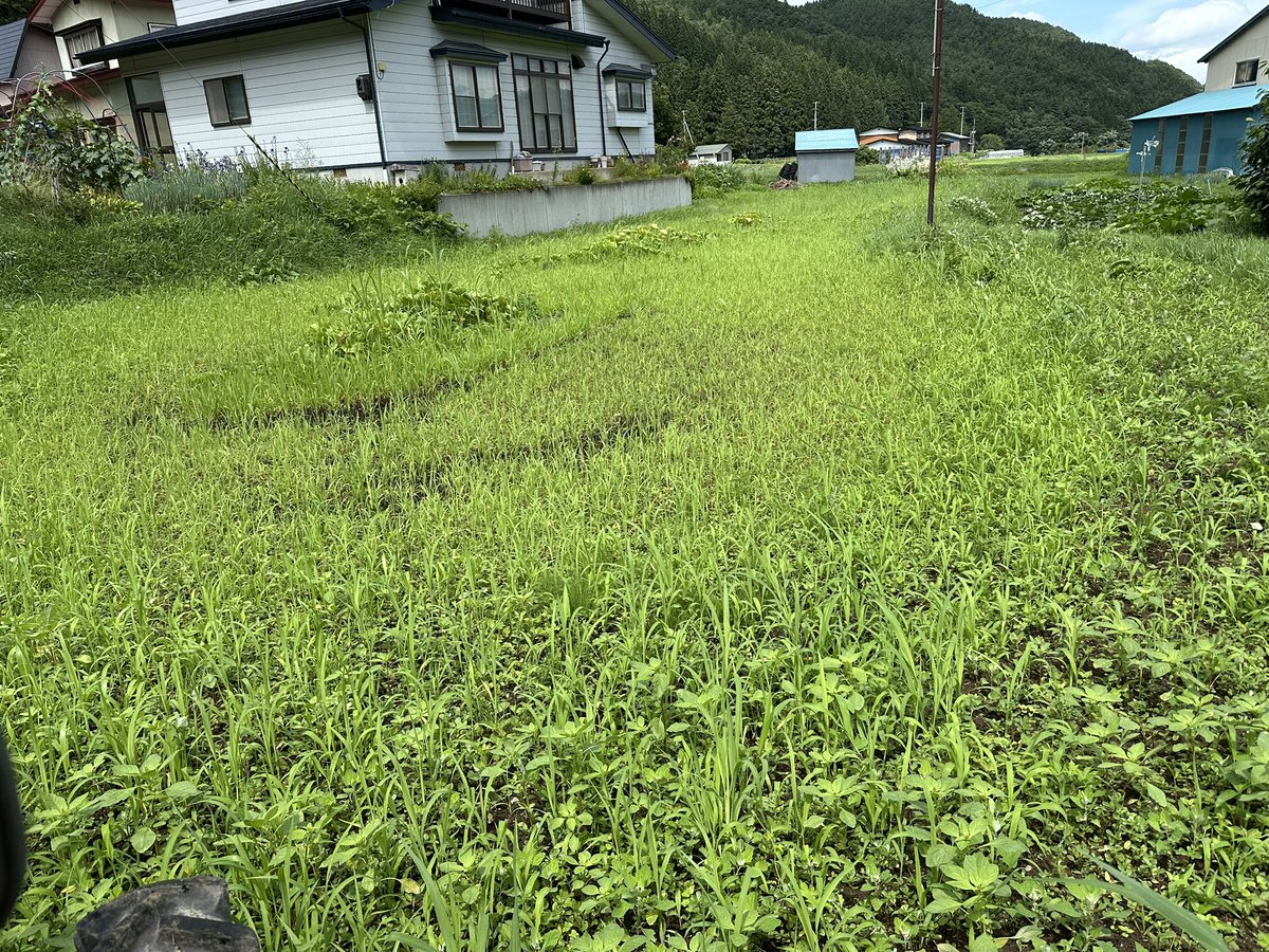 ryuji_rrmax's tweet photo. かぼちゃが雑草に埋まるので田おこし https://t.co/OmU9W7lvZQ
