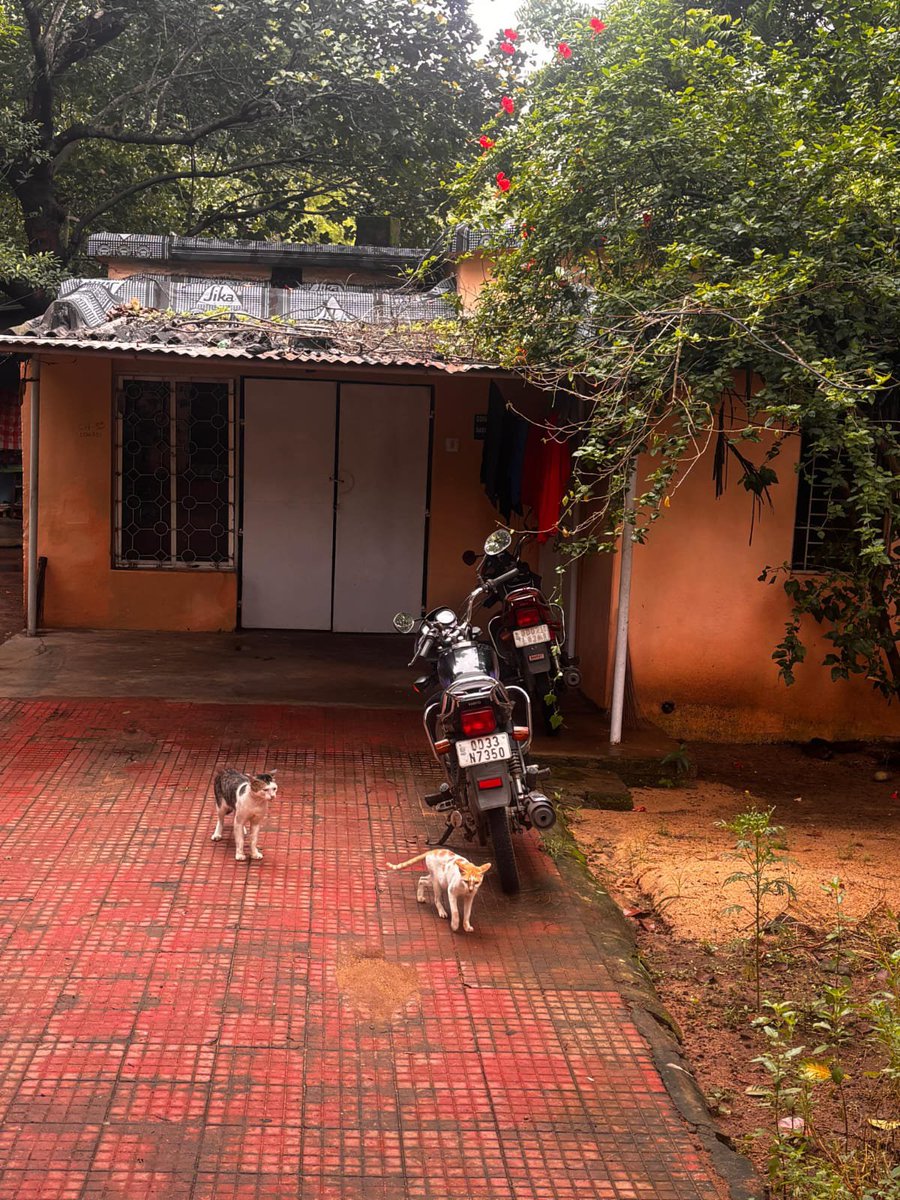 Alok4Odisha's tweet photo. @CMO_Odisha @dept_ga @odisha_police @OdishaVigilance 

ସମ୍ମାନନୀୟ ମୁଖ୍ୟମନ୍ତ୍ରୀ ମହୋଦୟ ଓ ପ୍ରଶାସନିକ ଅଧିକାରୀ,

  ​ଭୁବନେଶ୍ୱର ରୁଚିକା ଠାରେ ଥିବା IVR253 ସରକାରୀ କ୍ୱାର୍ଟରକୁ ବେଆଇନ ଭାବେ ଅନ୍ୟ ଜଣଙ୍କୁ ଭଡ଼ାରେ ଦିଆଯାଇଛି। ଯାହାକି ସରକାରୀ ନିୟମର ସମ୍ପୂର୍ଣ୍ଣ ଉଲ୍ଲଘନ । https://t.co/RahKXR130w