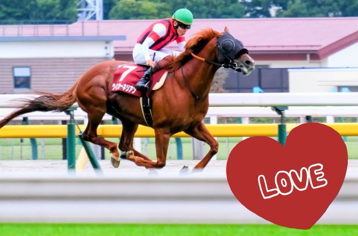 Sheeeno_Spring's tweet photo. 🏷𝐭𝐚𝐠𓂃 𓈒𓏸◌

ゆるゆるお馬さん垢🐴️📝
競馬が好きな方や、ウマ娘トレーナーさん、1口馬主の皆さんと仲良くしたいです！！！

🫶or♻️で気になった方フォローさせて頂きます🏇💨
#競馬好きと繋がりたい
#ウマ娘好きと繋がりたい 
#馬好きアカウント向けプロフ帳
よろしくお願いします🙇‍♀️🙇‍♀️ https://t.co/qLmy3KVuTZ
