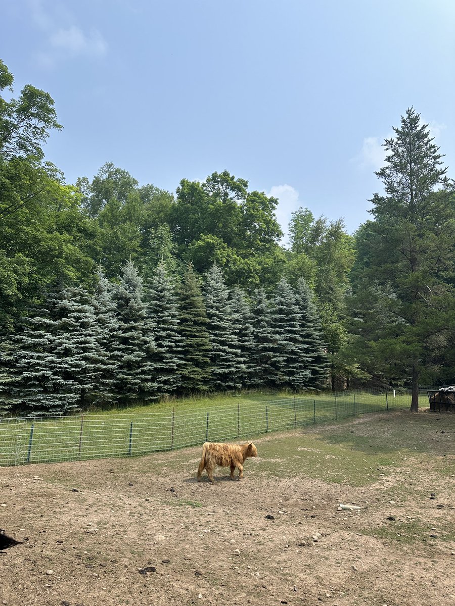 R0CKST4RGIRL's tweet photo. midwest summer https://t.co/BlaBjT8oeE