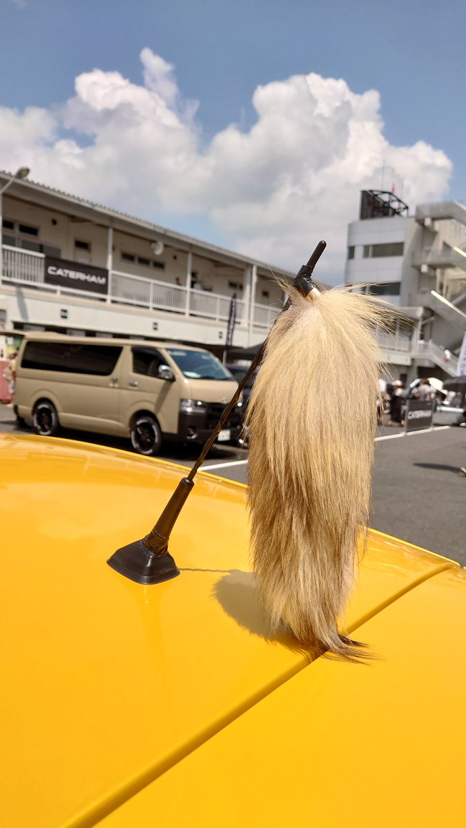 Hass15_'s tweet photo. 個人的に刺さった車両😘❤️
#tipooverheatmeeting
#speedfestival https://t.co/3zQmXA26HE