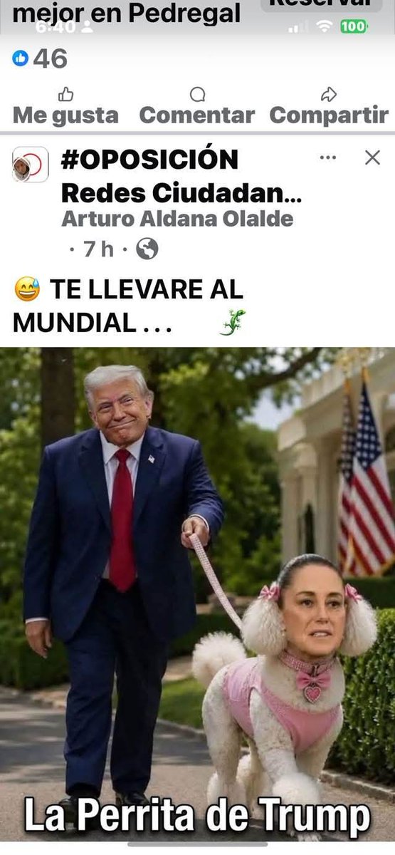 JLuHernandez's tweet photo. @jgnaredo @Claudiashein La auténtica perrita de Trump: https://t.co/BrmNnSfJ7X