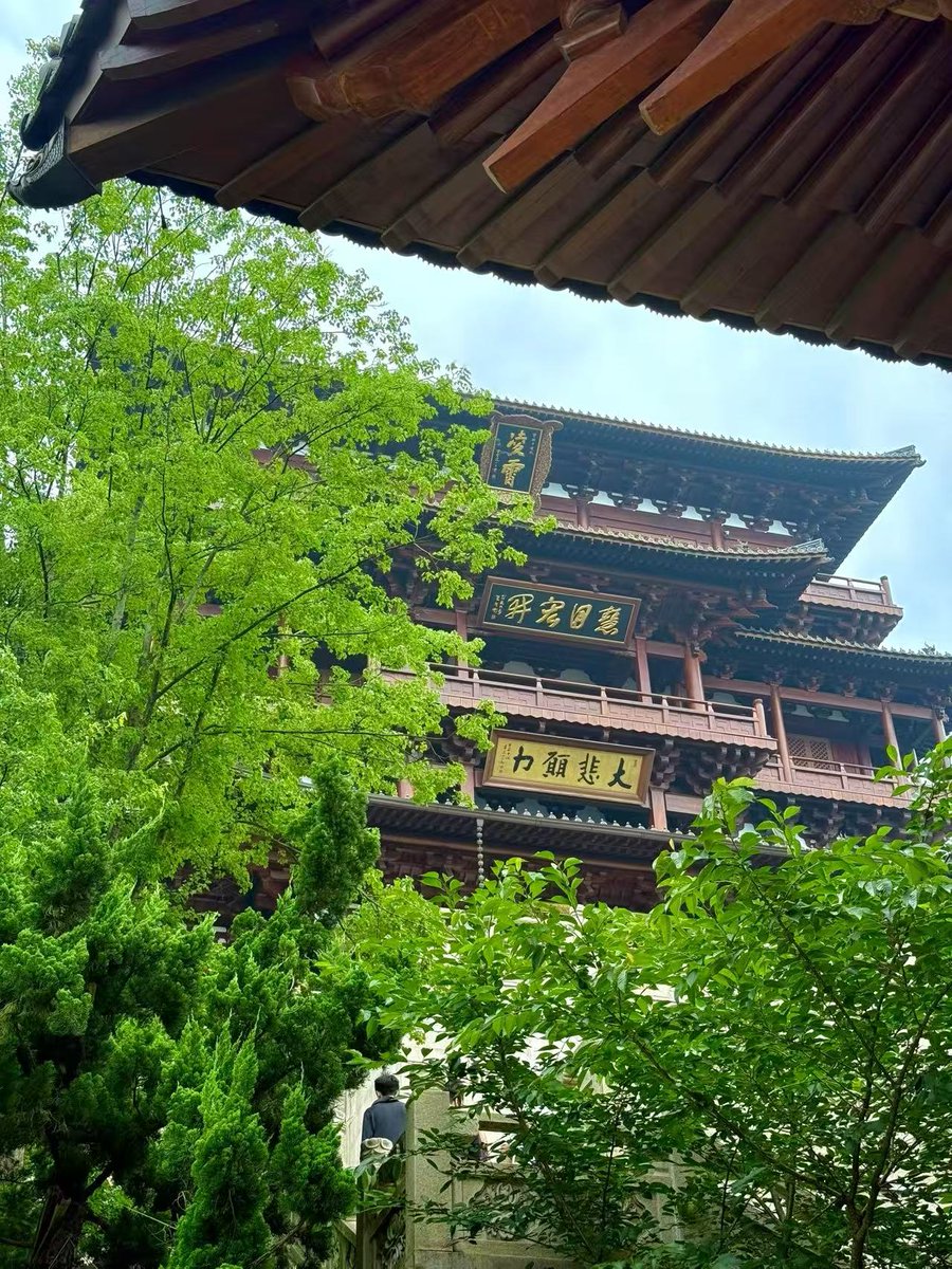 Web3_Silvia's tweet photo. 有时候觉得，人真的挺奇怪的。

平时忙的时候，总想着等有空了，一定要出去走走。可真到了休息那天，又不知道该去哪。

这次就去了杭州的径山寺。

没有什么特别的计划，就是喝了一碗抹茶，吃了一碗素面，在寺里慢慢逛了一圈。

抹茶要用茶筅一点一点打，打到满碗都是细细的泡沫。我站在旁边看了好一会儿，突然觉得，很多事情急也没用。

寺里的素面也很简单，没有大鱼大肉，却意外地好吃。可能人饿的时候，吃什么都香；人累的时候，安静一点就很好。

我还给龙头浇了一瓢水，投了几枚硬币。

以前总觉得拜佛是在求发财、求好运。

后来才发现，很多人来这里，不一定是为了求什么，只是想找个地方，把心放下来。

最近每天都盯着行情，K线一会儿红，一会儿绿，人也跟着一会儿开心，一会儿焦虑。

可站在寺院里，看着树叶被风吹得轻轻晃，突然觉得，那些让自己睡不着觉的事，好像也没那么重要。

人这一辈子，总要挣钱，也总会焦虑。

但总不能因为赶路，就忘了看看路边的风景。

所以偶尔停下来，喝杯茶，吃碗面，吹吹风，也挺好。