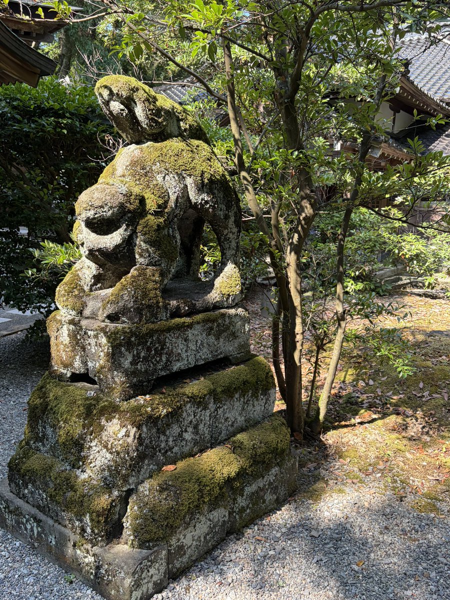 nekoPinuK's tweet photo. #大野湊神社 https://t.co/2vQ5mv9CfK