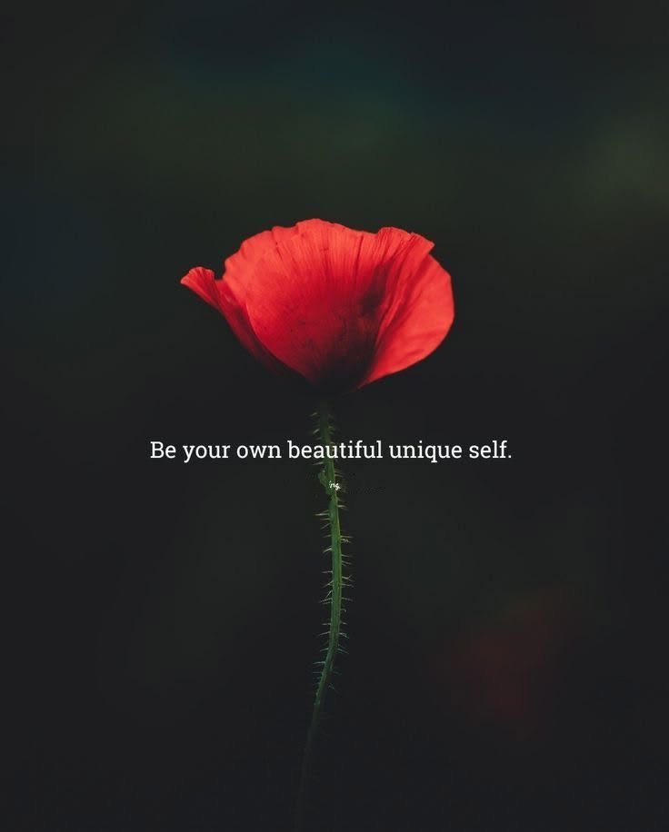 MQUOTESLIFE's tweet photo. https://t.co/zPUqWeBYsD