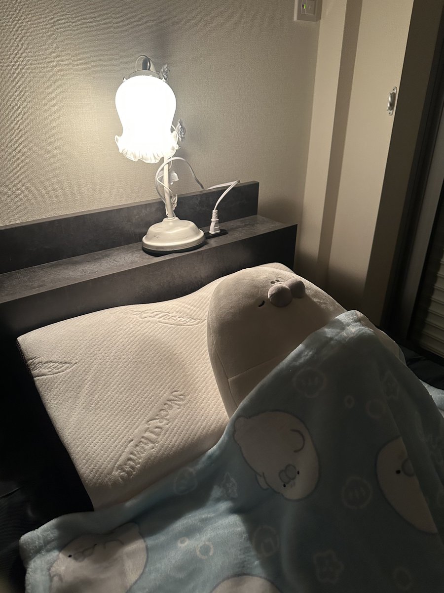 _maromochi_'s tweet photo. もちおくんすやすや😴 https://t.co/7nEAT2EqIp