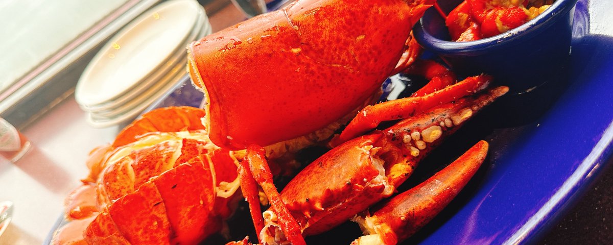 やうゆ (@yauyuism) on X