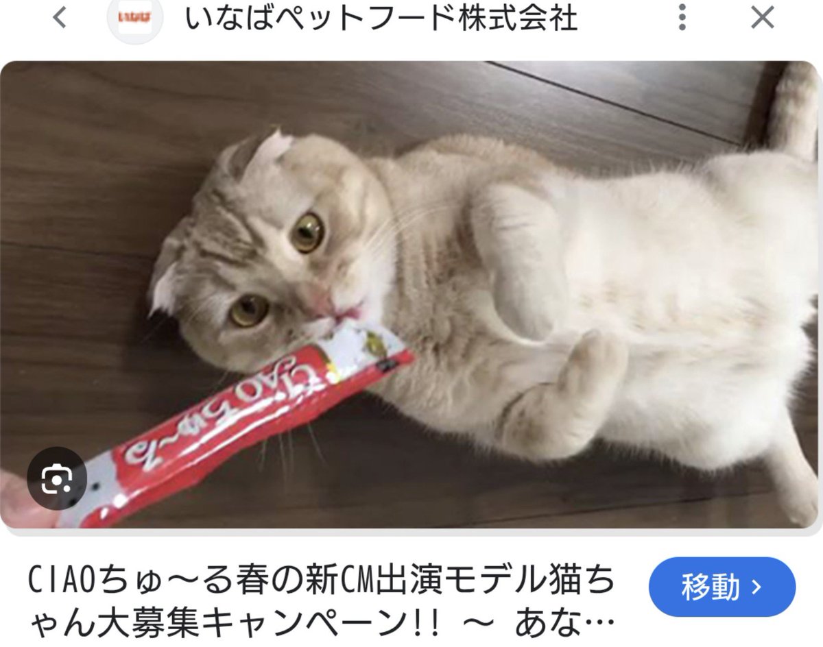 yoshi_zep's tweet photo. @ZanEngineer 🟥カードではなく、赤い「ちゅーる」を審判は出すべきだったな🐱💞ᩚ https://t.co/KwihUoz4kY