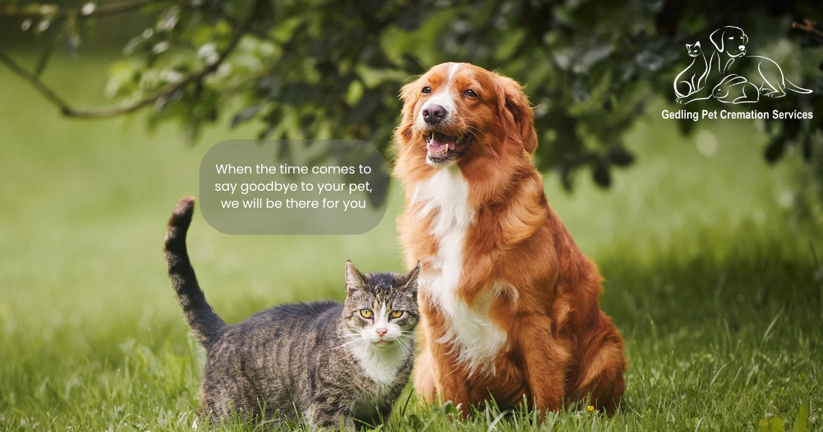 GedlingBC's tweet photo. Gedling Pet Cremation Services offer a compassionate and affordable service when the sad time comes to saying goodbye to your beloved pet.

We will do everything we can to make the process as easy and stress-free as possible and we will tailor our arrangements to suit your individual needs and preferences.

We can collect your pet and return their ashes to you within 48 hours. You can also choose from a large selection of urns, caskets and memorials so that you can cherish your pet’s memory.

Find out more: https://t.co/27PQiK0iEF