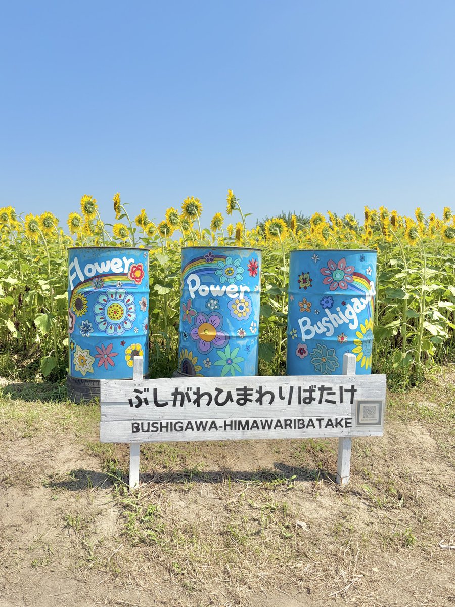 knp_bkac's tweet photo. 去年バイクで向かったのに
迷って辿り着けなかった向日葵🌻
リベンジ成功しました✨ https://t.co/AaYHuiXP3U