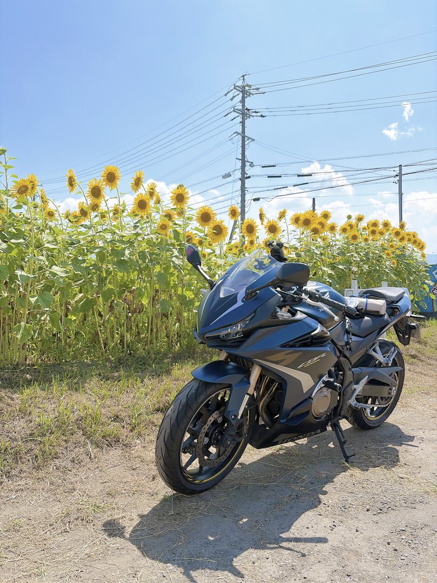 knp_bkac's tweet photo. 去年バイクで向かったのに
迷って辿り着けなかった向日葵🌻
リベンジ成功しました✨ https://t.co/AaYHuiXP3U