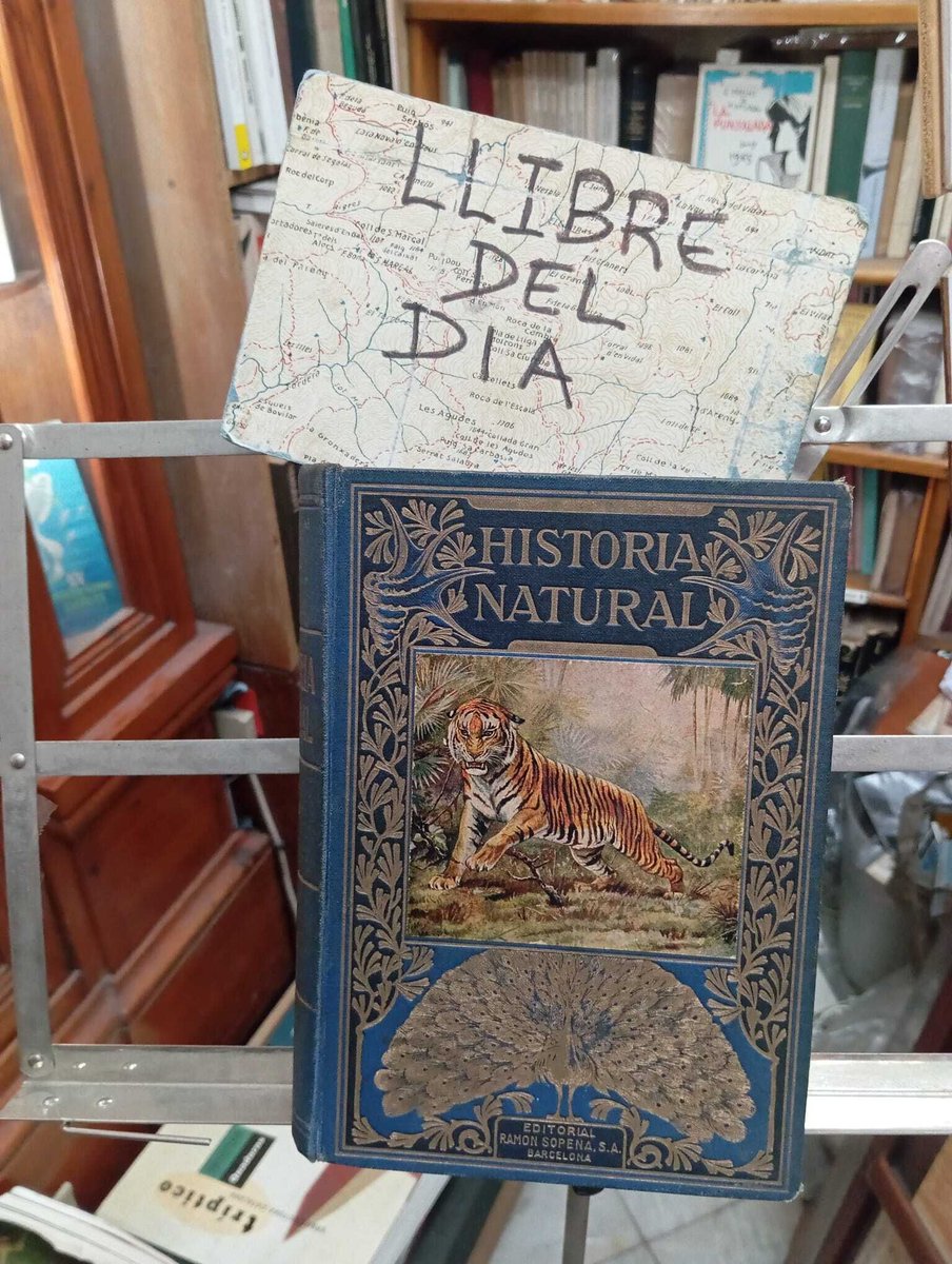 LlibreDelPalau's tweet photo. Historia natural. (L’autor va ser un biòleg, naturalista i professor i un dels pioners de l’ecologia a Espanya; introductor de la hidrobiologia i la limnologia) #llibredeldia #librodeldia #livredujour #bookofthed #societat #llibre #libros #books #llibresegonamà https://t.co/X4y4X3GNU2