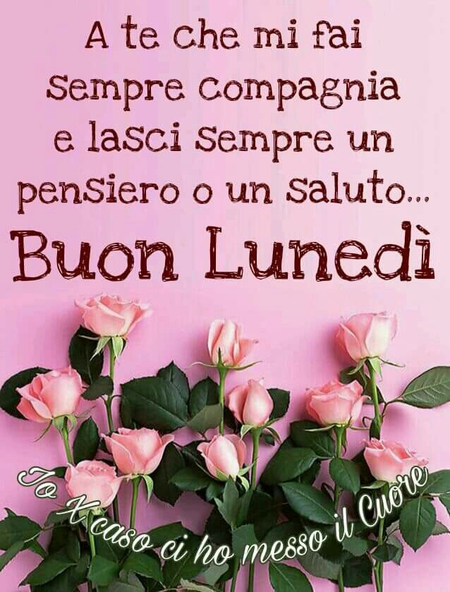Stefania S. tweet media