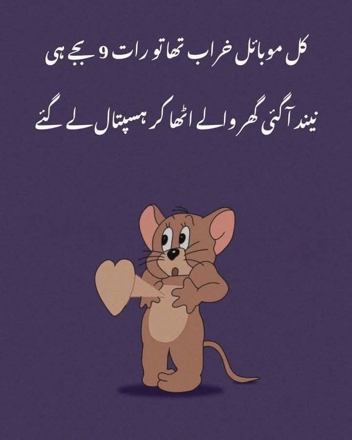 Ayesha🤍 tweet media