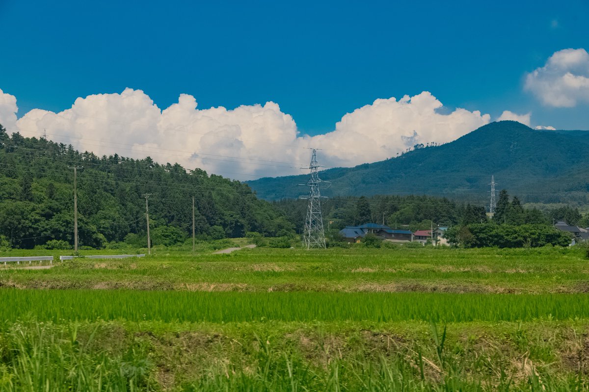 hitoritabiken's tweet photo. とびきりの夏を浴びている。 https://t.co/LerolNt38A