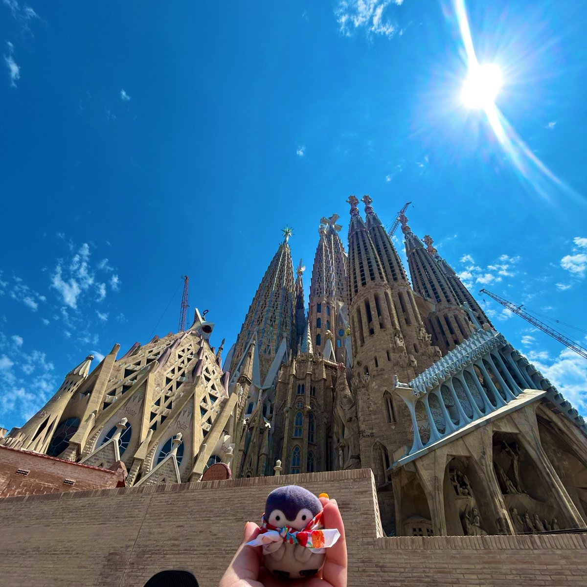 withkoupenchan's tweet photo. ちいさなコウペンちゃんと
遠くまでお出かけしてました🇪🇸🍊 https://t.co/Zgc3tHn6zn