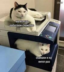 PandaNVKZ's tweet photo. Кратко о моей работе: https://t.co/Ij6guepg4k
