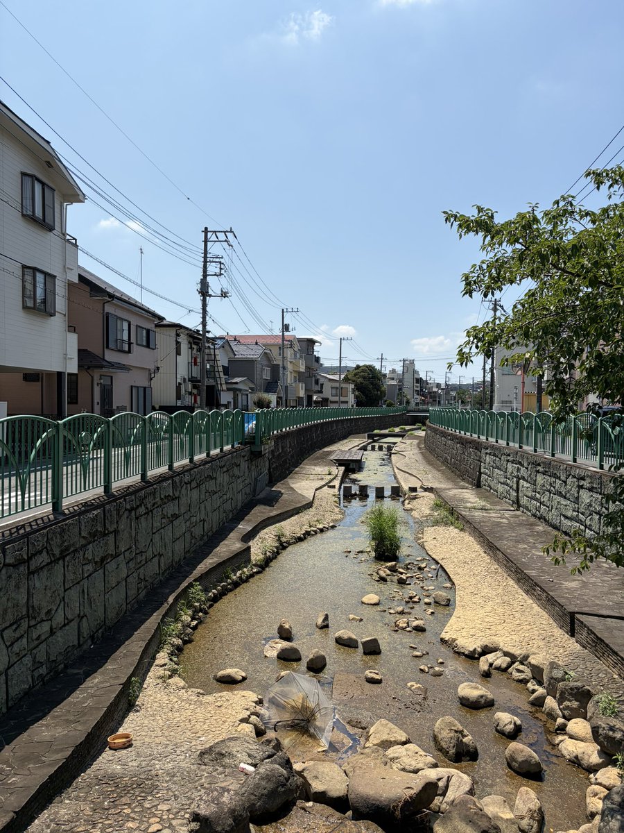 run44653's tweet photo. お盆の帰省で後から合流する家族のチケットを受け取りにみどりの窓口がある浦和駅へ。帰りは自宅まで何キロあるのか計測も含めて走って帰って来ましたが普段走らない時間帯で徐々に気温上昇🔥ほぼ夕方🏃‍♂️ですがもう何時に走っても暑いものは暑〜い🥵 https://t.co/a8FIPMa8cs