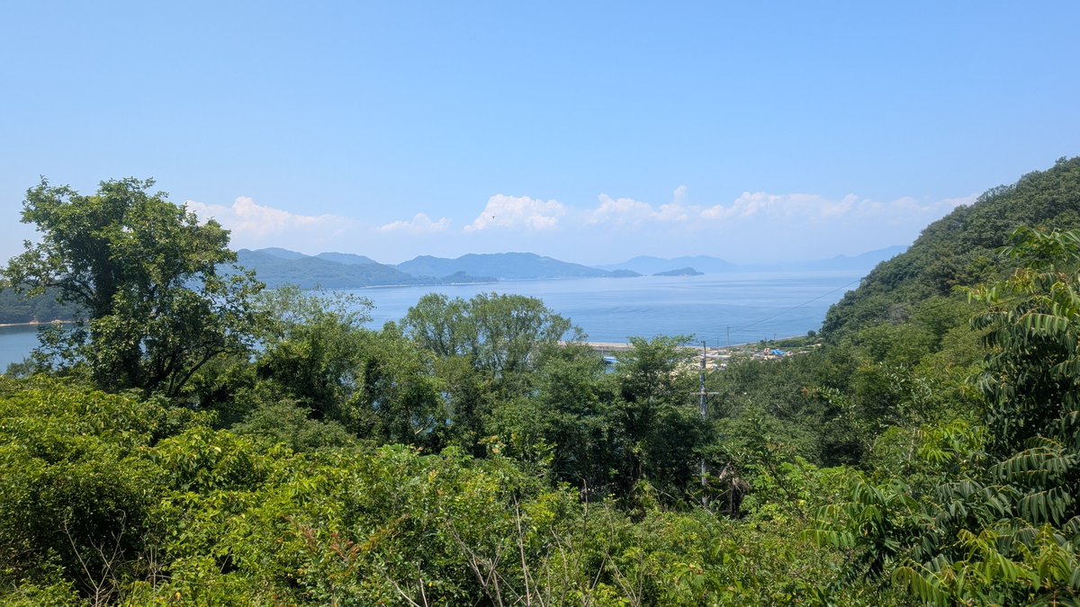 _double_trees's tweet photo. 夏が始まりましたね。 https://t.co/KUbbDsryK8