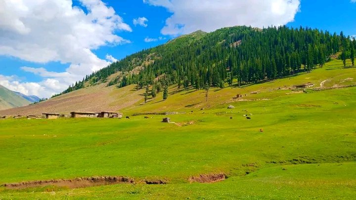 real_kumrati's tweet photo. اپر کوہستان ہے یہ
اپر کوہستان خشک پہاڑوں کا نام نہیں ہے
سوپٹ ویلی
#شمالی_پاکستان
#España #ToTheNorth https://t.co/PEDinjffrL