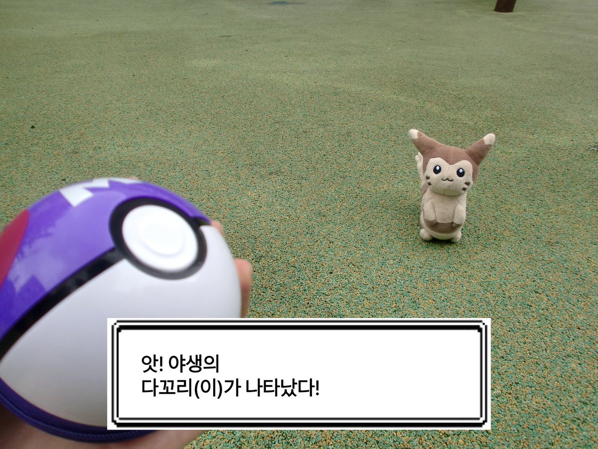 치키채피 tweet media