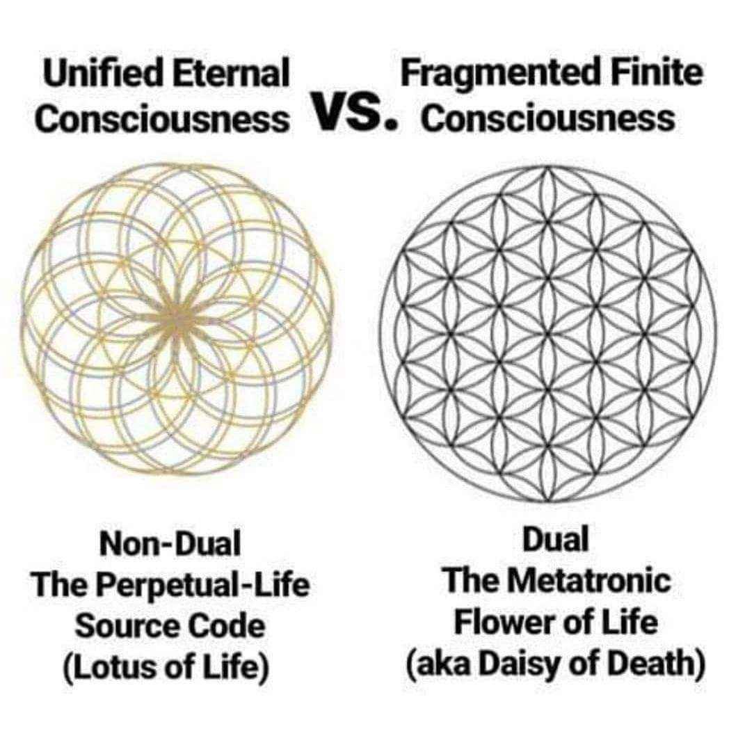 xmilehighx's tweet photo. The Venus, the Torus the Lotus, the Earth & the Truth:
Venus 221.23 Hz
Lotus Flower(s) 432 Hz
..if doubled the difference is only 10.46 Hz.
Templar Double Torus is actually 111 Hz.
Human Heart Coherence .01 Hz.
The Earth is at 7.83 Hz.
#templar #Torus #Venus #Lotus https://t.co/E1FbIhUMsZ