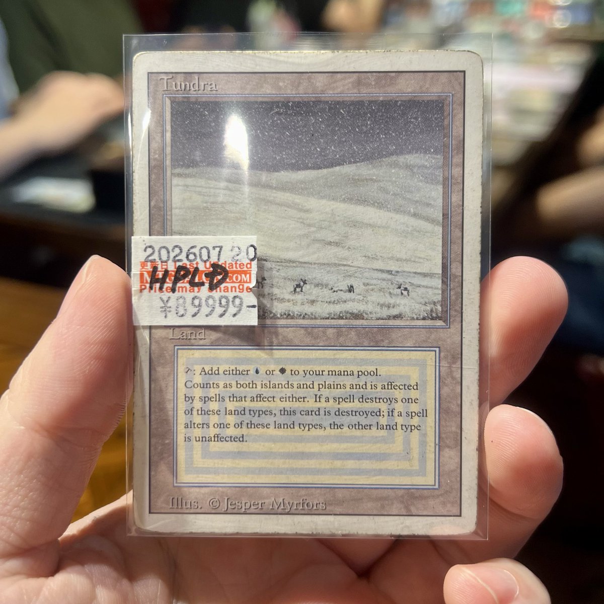 専用出品　Tundra　デュアルランド 🔴MTG サロン 東京 新宿🔴 ✨ 青白デュアルランド《Tundra》入荷しま