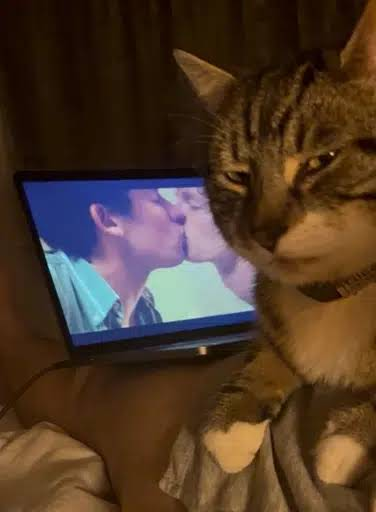 vanni100x's tweet photo. @anderdingus2449 12 month old og with cpmmunity   

CA:  

33osv8Z87yxCRPg3DMkCdAAQ1XwHZyWActojuZnpbonk https://t.co/2hokJQPBf3