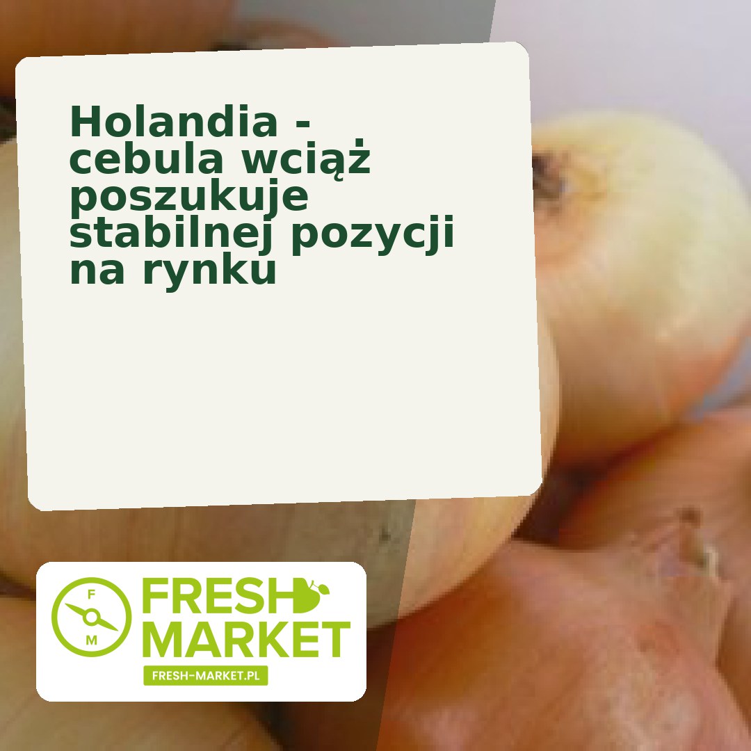 Fresh_Market_'s tweet photo. Holandia - cebula wciąż poszukuje stabilnej pozycji na rynku https://t.co/bIBN0NcvgF https://t.co/BS7KiHy3bA