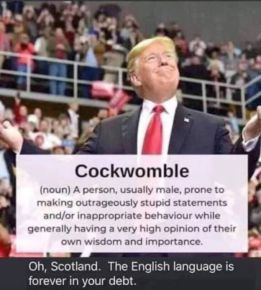 blueberry4406's tweet photo. @Malcolm_Pal9 Cockwomble https://t.co/PknR6WJU4M