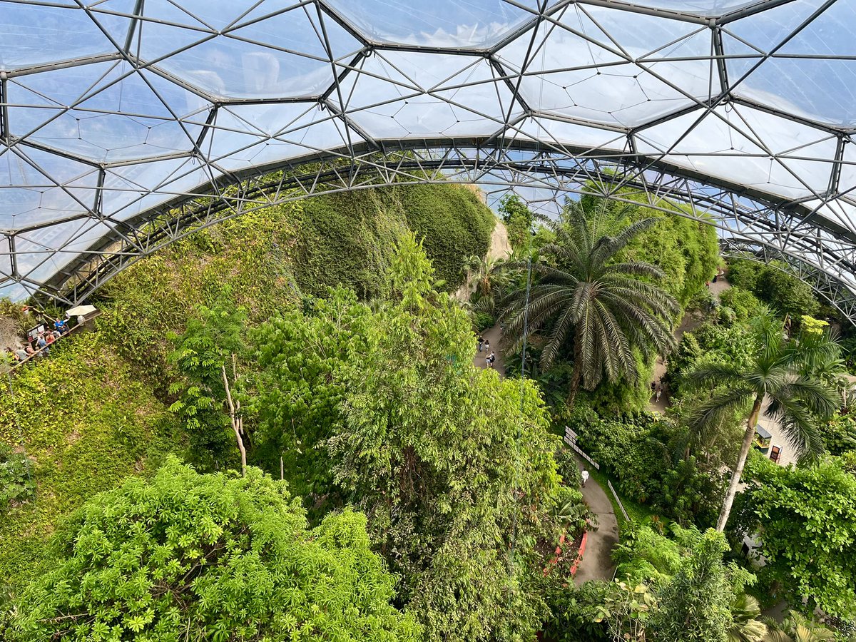 pjm1kbw's tweet photo. Enjoyed a wonderful visit to the really rather remarkable #EdenProject which is celebrating its 25th anniversary. And yes I did take the stairs right up to the top of the roof #KCInCornwall #KCInATropicalGarden https://t.co/HwGkeuvlga