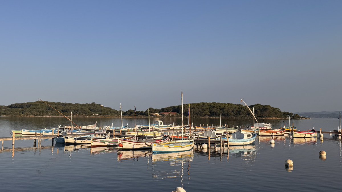 davidOL69's tweet photo. Les pointus de la lagune du Brusc et l’Ile des Embiers #SixFours https://t.co/US2Emywo97