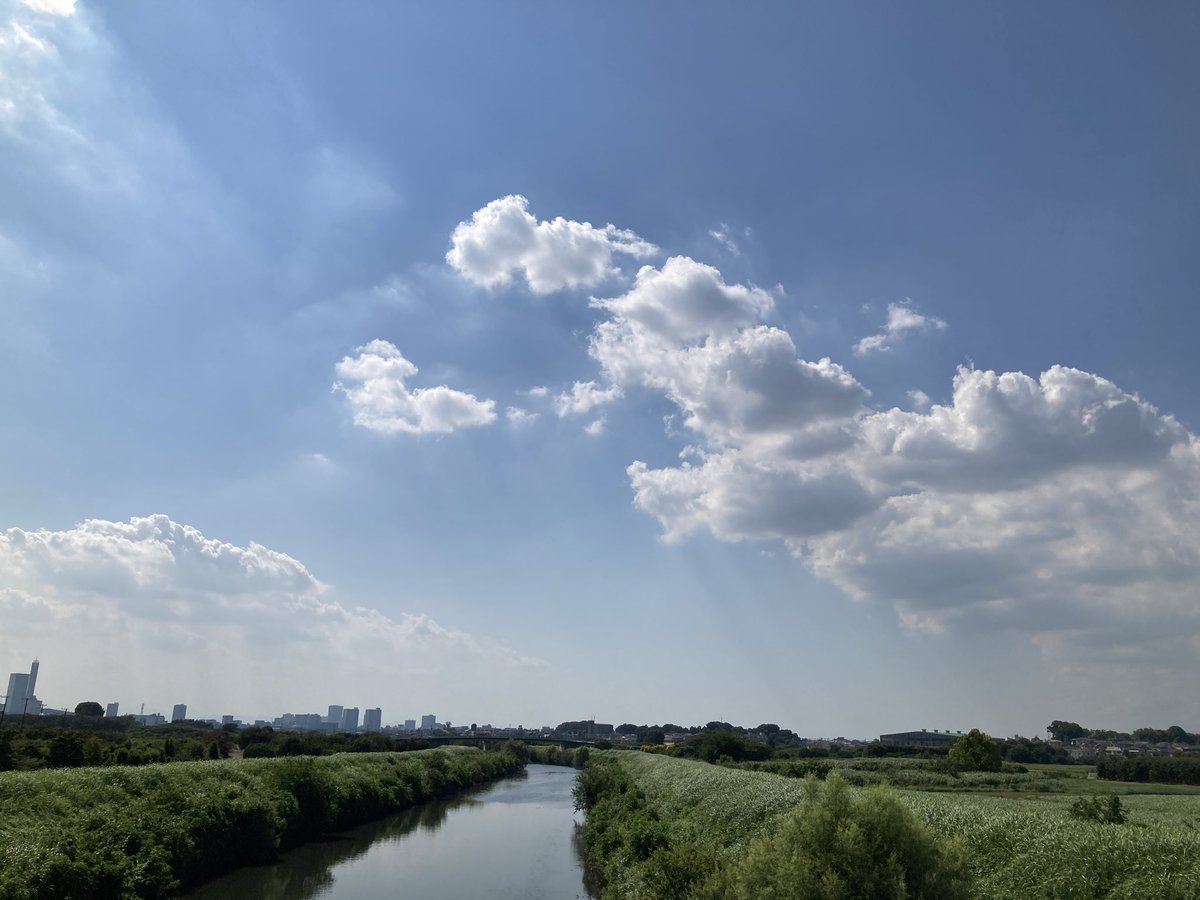 565_mitti's tweet photo. 今日は、やばい暑さ🥵 https://t.co/r0iNlKvR6I