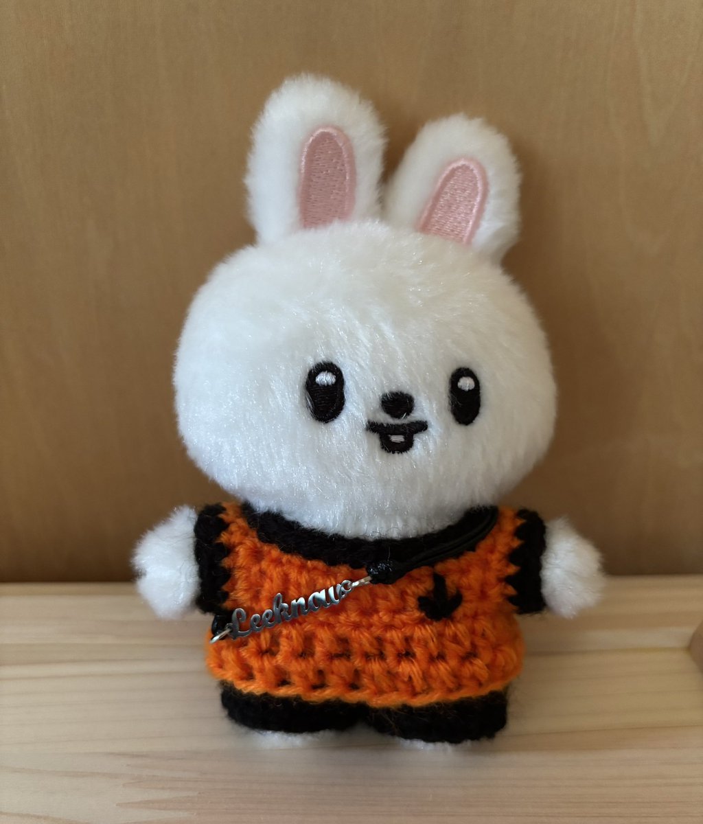 cherrybloo71935's tweet photo. ゴッドハンドによるRunning coreリビ🐰
某サイトですが出品者様もstayさんで
出発に間に合うよう編んで��くださったのありがた過ぎるㅠㅠ
心なしかキリッとしてる😆😆
#leebit #runningcore https://t.co/mD2RFsTRbn