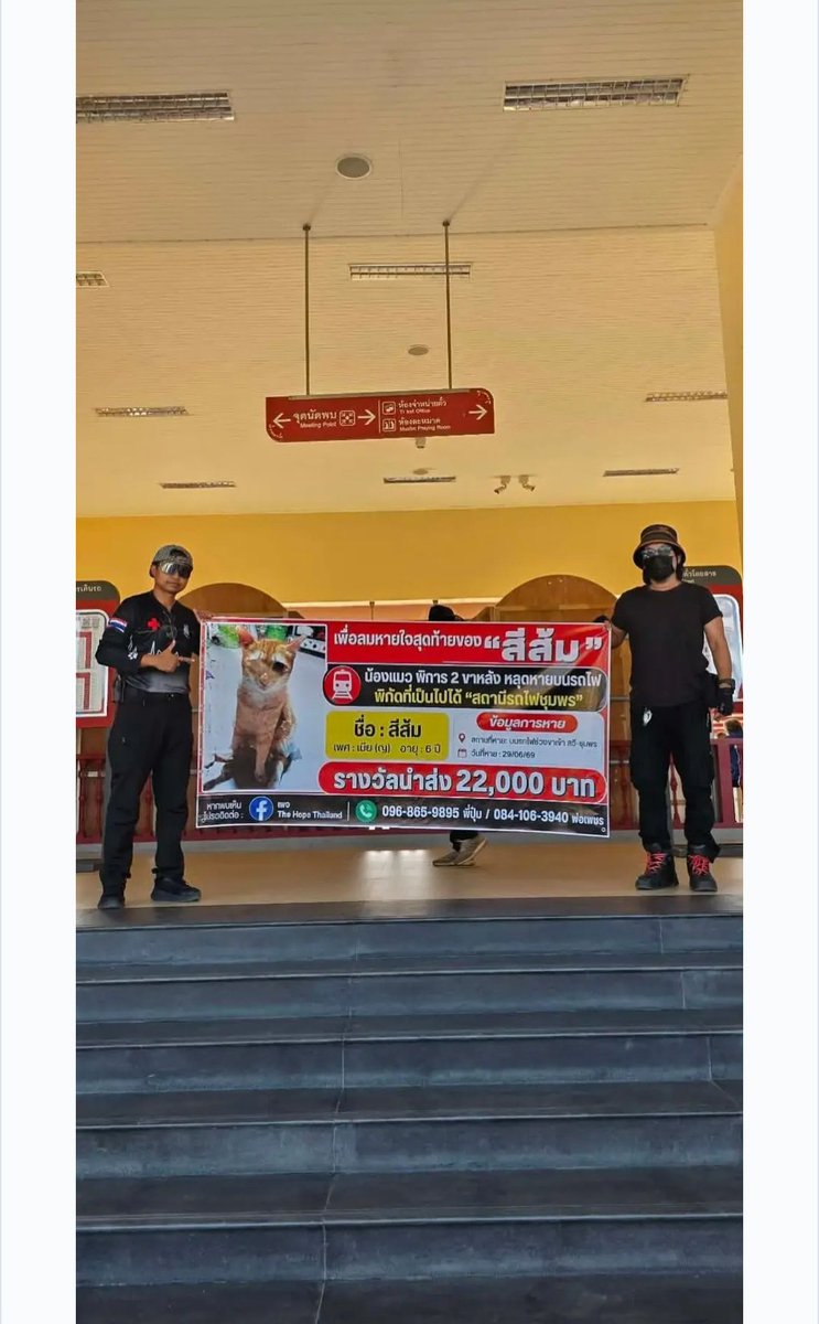TarotYouuuu's tweet photo. มึง พี่ปุ๋มและทีมงาน สุดยอดมาก ยังคงลงพื้นที่ ออกตามหาน้องสีส้มทุกวัน ทำป้ายติดตั้ง แจกใบปลิวทั่วชุมพร ติดต่อการรถไฟ ทวงถามความรับผิดชอบ พี่แกทำทุกอย่างเพื่อน้องเลย ส่งกำลังใจให้ด้วยนะครับ !!!!!!!!

#แมวหาย
#แมวหายบนรถไฟ https://t.co/oIcQ5RejFR