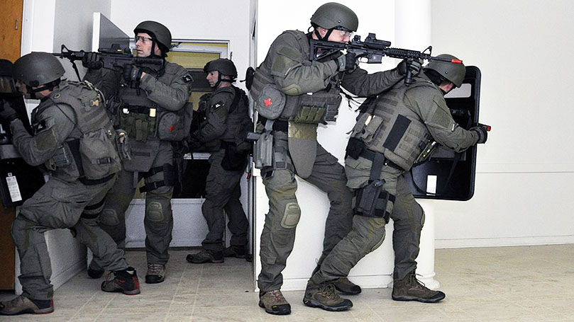 Polisim tweet media