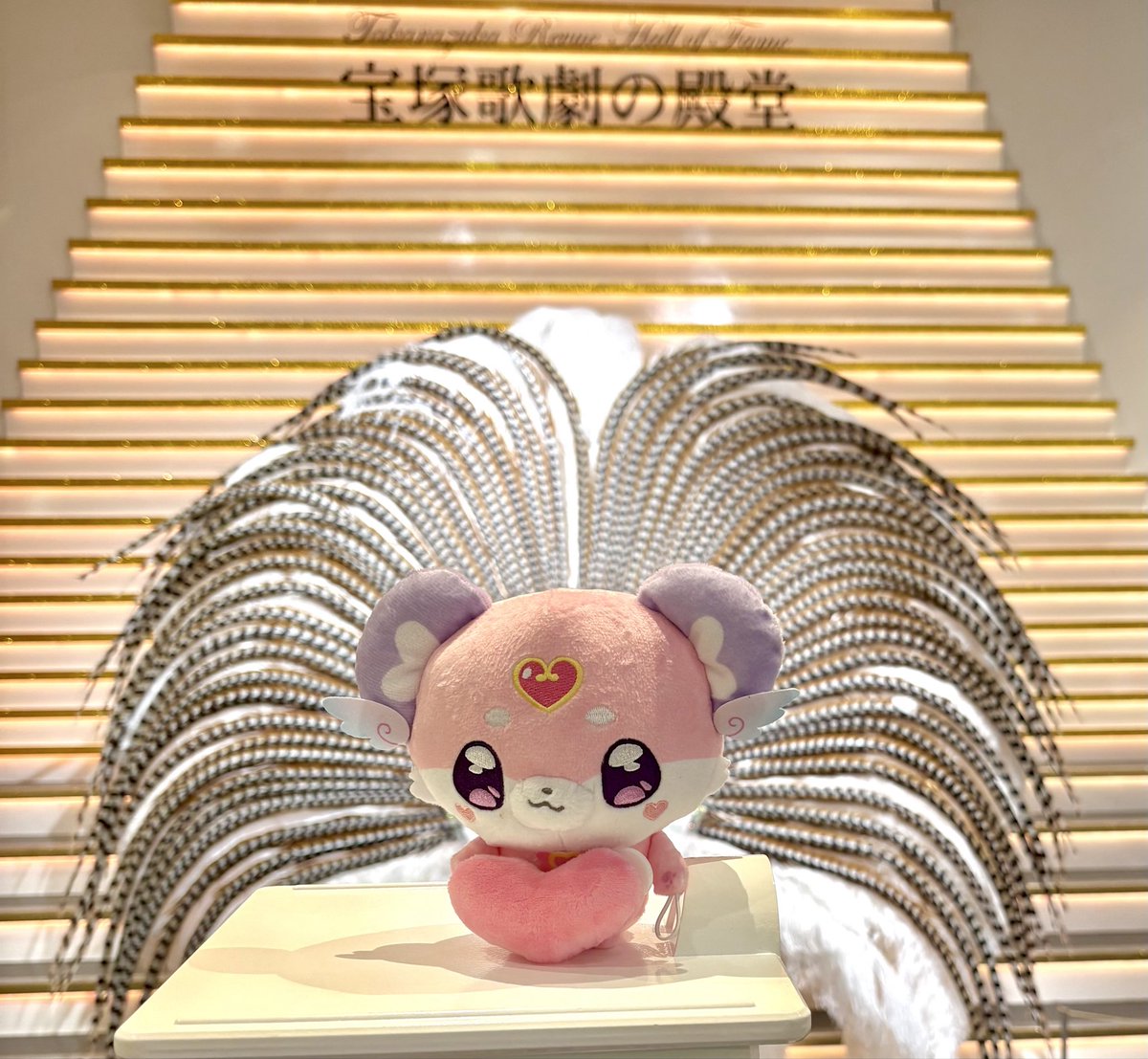 sumeshinekochan's tweet photo. トップスターポチタン https://t.co/7c1tXV8c0z