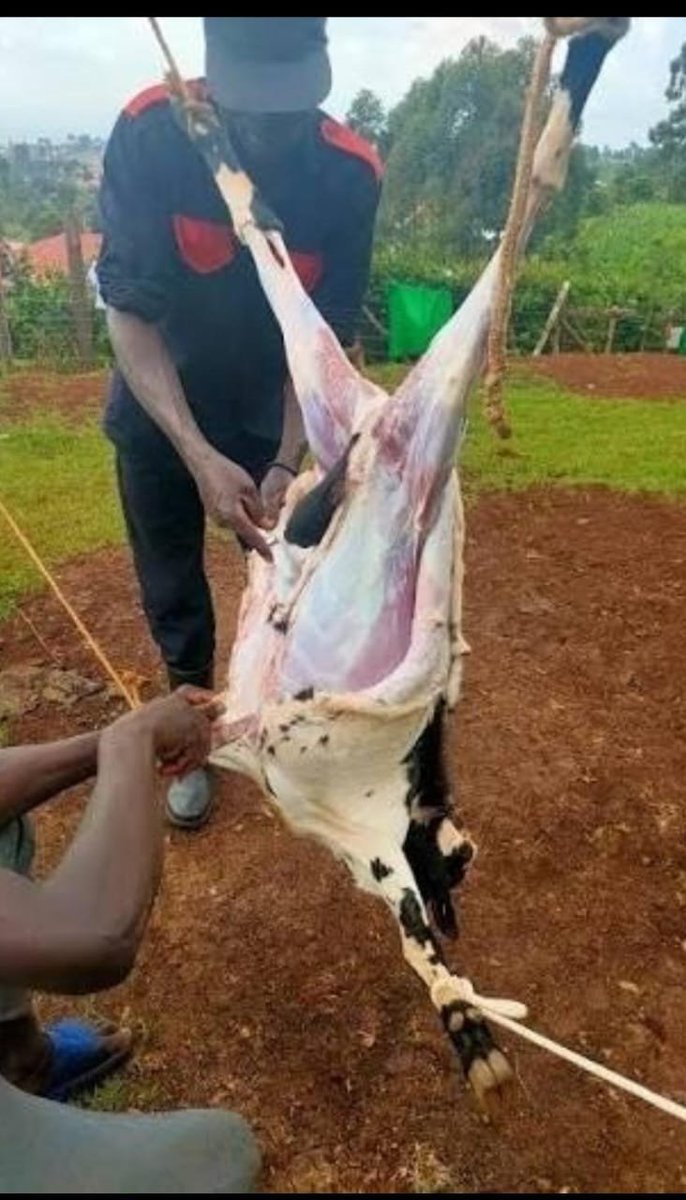 SolutionJames's tweet photo. Finally the goat was slaughtered. Zero Aura for 90mins. https://t.co/5TnxEUFFqL