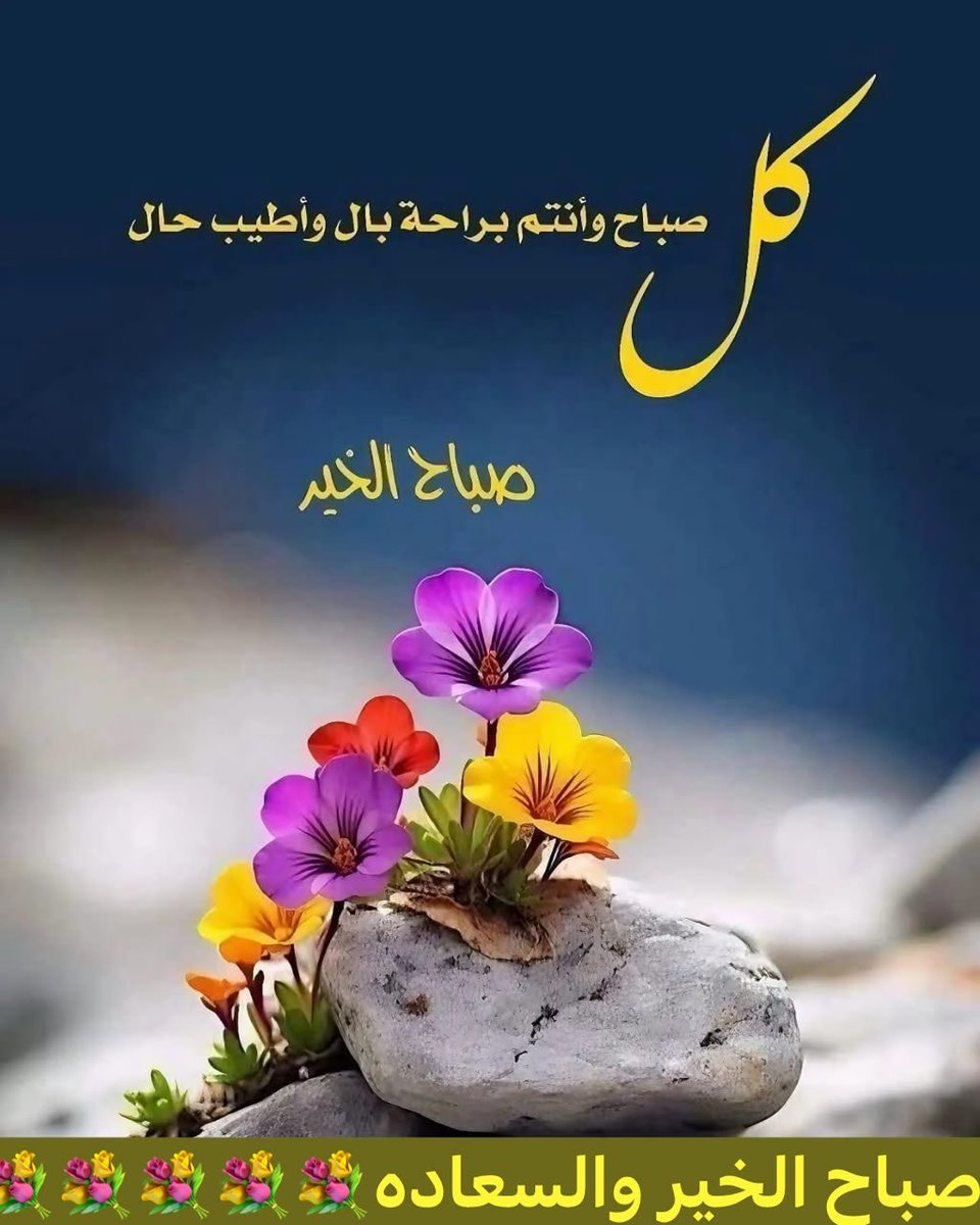 yanalabd's tweet photo. صباح الخير 🌹 https://t.co/DpULbO4pif