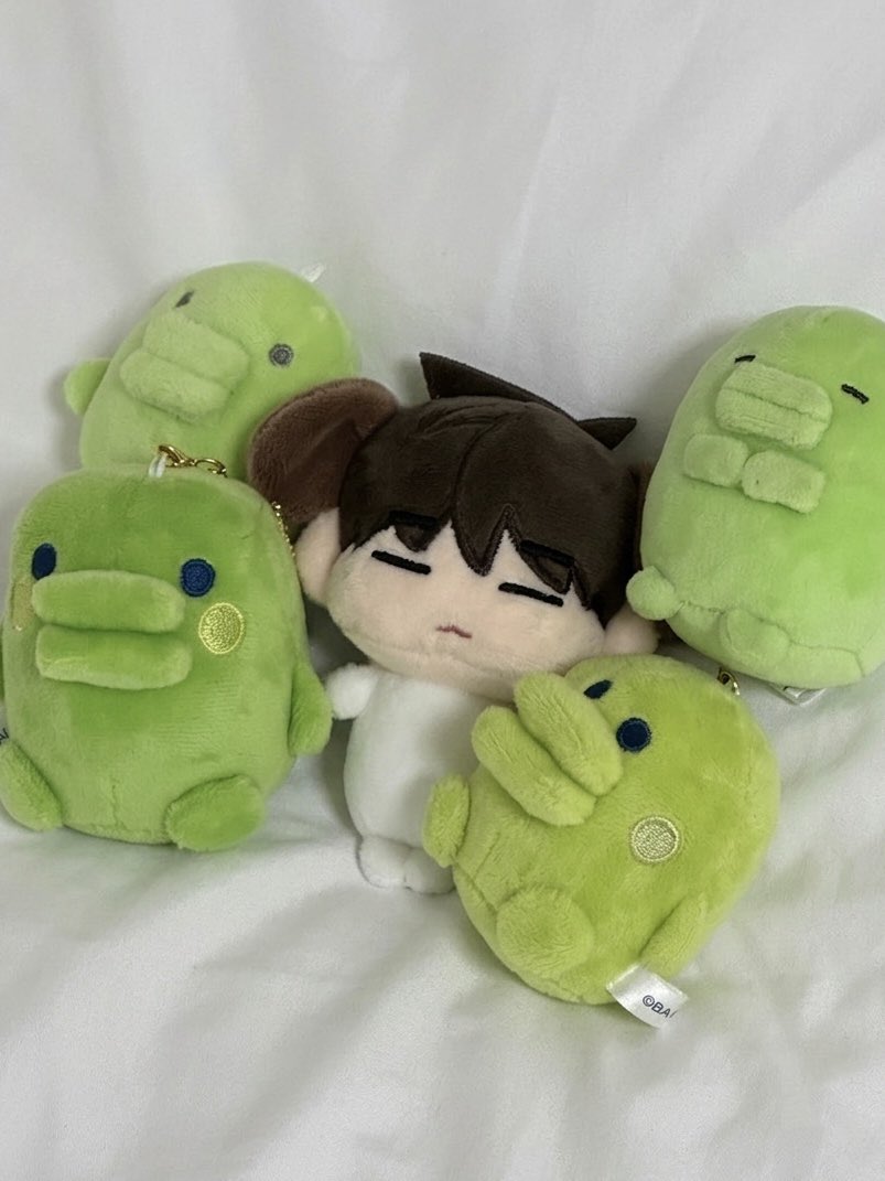 완똥이 tweet media