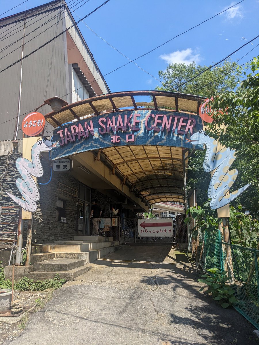 anmitsu_1971's tweet photo. 昨日群馬のジャパンスネークセンターに遊びに行ってとても楽しかったんだけど蛇の写真はここに載せてもいいんだろうか
個人的には蛇見るの大好きなのに(外で遭遇したくないが)嫌がる人も多く、蛇に申し訳ないけど仕方ない気もする🥲🐍 https://t.co/cVY7dlGQFb
