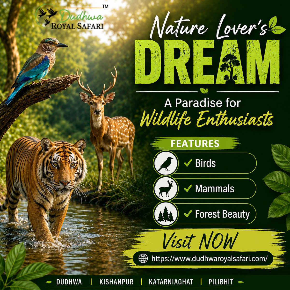 DudhwaRSafari's tweet photo. πΏπ
Nature Loverβs Dream β A Paradise for Wildlife Enthusiasts π¦π¦
Escape into the heart of the wilderness with Dudhwa Royal Safari and experience nature in its purest form.
https://t.co/PWlmaaDuhC
#NatureLoversDream πΏ #DudhwaRoyalSafari π
#WildlifeAdventure π¦ https://t.co/1yIqNqQXMi
